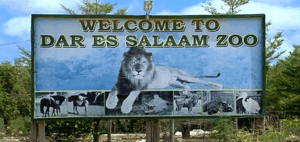 Luxury guide to Dar es Salaam Zoo Tanzania, Exclusive tour to Dar es Salaam Zoo Kigamboni, Dar es Salaam Zoo Kiingilio exclusive access, private tour to Dar es Salaam Zoo Dar es Salaam Tanzania, Exclusive Bahari Zoo Dar es Salaam personalized tour