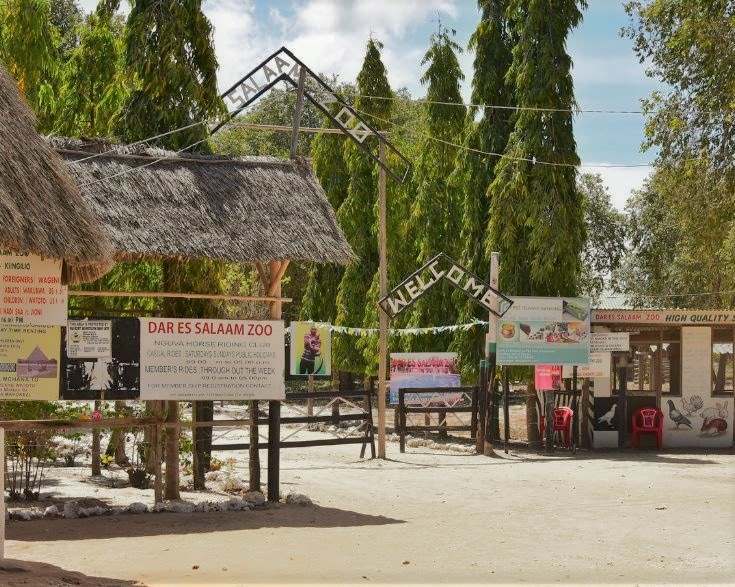 Luxury guide to Dar es Salaam Zoo Tanzania, Exclusive tour to Dar es Salaam Zoo Kigamboni, Dar es Salaam Zoo Kiingilio exclusive access, private tour to Dar es Salaam Zoo Dar es Salaam Tanzania, Exclusive Bahari Zoo Dar es Salaam personalized tour. Luxury 8 Days Tanzania Safari Exclusive Tour, Best Private Tanzania Southern Circuit Safari, Exclusive 8 day safari Tanzania, Tanzania 8-day safari private tour, Private 8 days Tanzania safari itinerary. 5-day Coastal Travel Tanzania luxury package, private 5 Day Tanzania Safari itinerary, exclusive Tanzania Tour Package, luxury Dar es Salaam City tour itinerary, exclusive Songo Songo Island tour