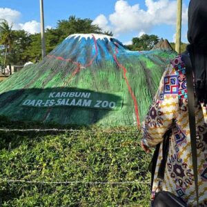 Luxury guide to Dar es Salaam Zoo Tanzania, Exclusive tour to Dar es Salaam Zoo Kigamboni, Dar es Salaam Zoo Kiingilio exclusive access, private tour to Dar es Salaam Zoo Dar es Salaam Tanzania, Exclusive Bahari Zoo Dar es Salaam personalized tour. Luxury 8 Days Tanzania Safari Exclusive Tour, Best Private Tanzania Southern Circuit Safari, Exclusive 8 day safari Tanzania, Tanzania 8-day safari private tour, Private 8 days Tanzania safari itinerary