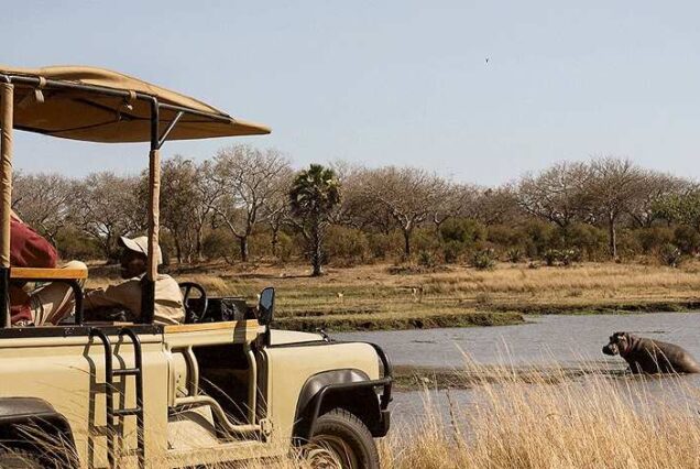 Exclusive 7 Day Western Tanzania Safari, Private Tanzania 7 Day Safari, Off-the-beaten-path safari in Western Tanzania, Luxury Katavi National Park Tours, Private Mahale mountains chimp trekking tours. Private Tanzania 7 day itinerary, Luxury Tanzania 7 day tour, Exclusive 7 day Tanzania tours, Luxury Saadani National Park tour,  Private Mkomazi safari tours. best conservancies in Kenya, conservancies in Kenya, list of conservancies in Kenya, private conservancies in Kenya, Wildlife Conservancies in Kenya