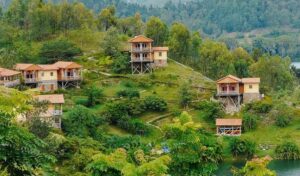 Gishwati Mukura National Park, Gishwati Mukura National Park and Biosphere Reserve, Gishwati National Park, Gishwati Forest Rwanda, Location of Gishwati Mukura National Park