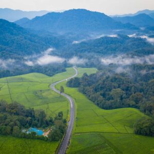 Gishwati Mukura National Park, Gishwati Mukura National Park and Biosphere Reserve, Gishwati National Park, Gishwati Forest Rwanda, Location of Gishwati Mukura National Park