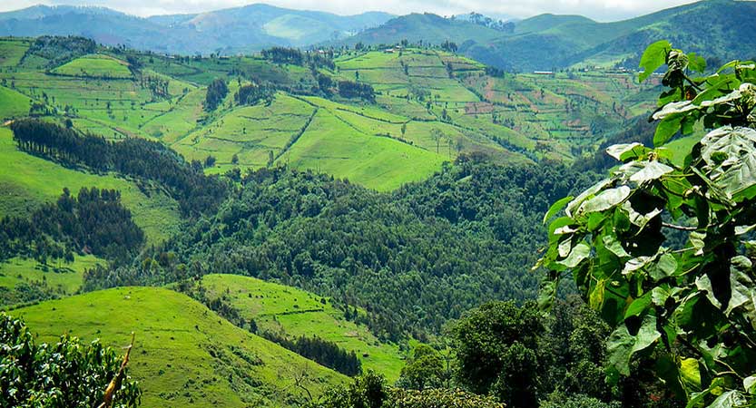 Gishwati Mukura National Park, Gishwati Mukura National Park and Biosphere Reserve, Gishwati National Park, Gishwati Forest Rwanda, Location of Gishwati Mukura National Park