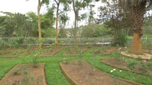 Kigali Genocide Memorial, Why did the Rwandan Genocide happen When did the Rwandan Genocide happen How did the Rwandan Genocide happen Kigali Genocide Memorial Tour