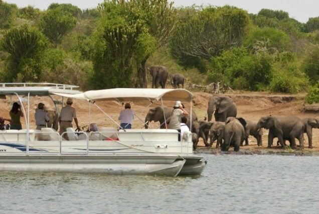 Luxury Safari Guide to Lake Ihema, Tour guide to Lake Ihema Rwanda, Exclusive guide to Lake Ihema Boat Cruise Safari, Luxury guide to Lake Ihema in Akagera National Park, Best tour guide to Wildlife on Lake Ihema. 3 days Luxury Rwanda Cultural Tours, Exclusive Rwanda City Tour, Immersive Kigali City Tour, Personalized Akagera National Park Safari Tours, 3 days Private Rwanda Kigali City Tour