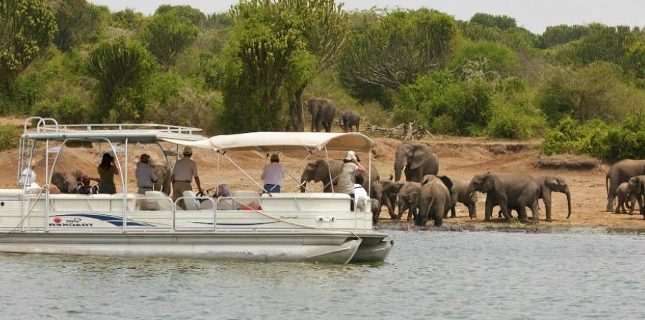Luxury Safari Guide to Lake Ihema, Tour guide to Lake Ihema Rwanda, Exclusive guide to Lake Ihema Boat Cruise Safari, Luxury guide to Lake Ihema in Akagera National Park, Best tour guide to Wildlife on Lake Ihema. 3 days Luxury Rwanda Cultural Tours, Exclusive Rwanda City Tour, Immersive Kigali City Tour, Personalized Akagera National Park Safari Tours, 3 days Private Rwanda Kigali City Tour. Luxury Rwanda Gorilla Trekking Tours, Exclusive Rwanda Safari Tours, Private Rwanda Kigali City Tours, Personalized Rwanda Kigali City Tours, Immersive Rwanda Gorilla Tours