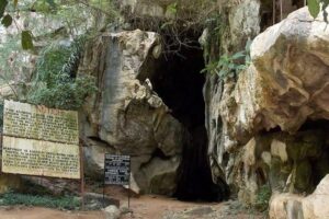 Luxury guide to Amboni Caves Tanzania, Exclusive guide to Amboni Caves Tanga Tanzania, Private guide to Amboni Caves History, Luxury guide to Amboni Tanzania, Exclusive guide to Caves in Tanzania