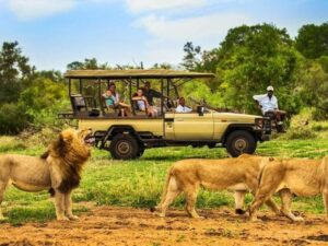 Luxury guide to Mkomazi National Park Tanzania, Exclusive Mkomazi National Park Safari guide, Luxury Mkomazi National Park Accommodation, Where is Mkomazi National Park, luxury Mkomazi National Park Hotels