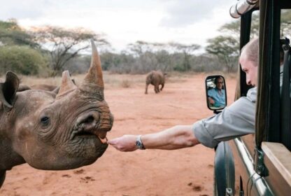 Luxury guide to Mkomazi National Park Tanzania, Exclusive Mkomazi National Park Safari guide, Luxury Mkomazi National Park Accommodation, Where is Mkomazi National Park, luxury Mkomazi National Park Hotels. Private Tanzania 7 day itinerary, Luxury Tanzania 7 day tour, Exclusive 7 day Tanzania tours, Luxury Saadani National Park tour,  Private Mkomazi safari tours. best conservancies in Kenya, conservancies in Kenya, list of conservancies in Kenya, private conservancies in Kenya, Wildlife Conservancies in Kenya