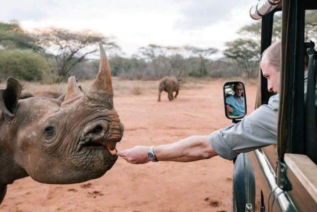 Luxury guide to Mkomazi National Park Tanzania, Exclusive Mkomazi National Park Safari guide, Luxury Mkomazi National Park Accommodation, Where is Mkomazi National Park, luxury Mkomazi National Park Hotels. Private Tanzania 7 day itinerary, Luxury Tanzania 7 day tour, Exclusive 7 day Tanzania tours, Luxury Saadani National Park tour,  Private Mkomazi safari tours. best conservancies in Kenya, conservancies in Kenya, list of conservancies in Kenya, private conservancies in Kenya, Wildlife Conservancies in Kenya. Luxury 4 Days Murchison Falls Safari, Private Murchison Falls National Park safari, Exclusive Safari in Uganda Murchison Falls, Luxury Uganda safari tour,, Private Safari Murchison Falls National Park