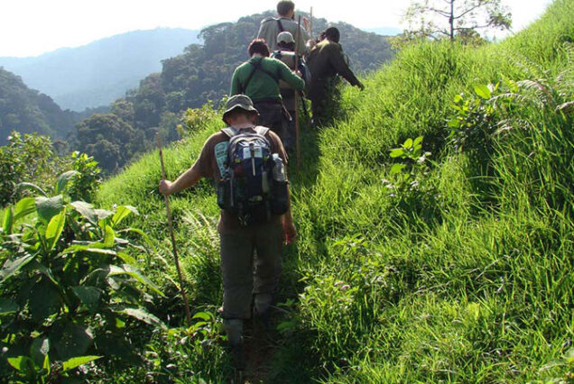 Luxury Safari Guide to Mountain Karisimbi, Exclusive Adventure to Mount Karisimbi, Private Safari Adventure to Mount Karisimbi Rwanda, Expert Guided Mount Karisimbi Volcano Hike, Luxury Expedition to the Elevation of Mount Karisimbi. Private 4 Day Gorilla Trekking Uganda Package, Exclusive 4-Day Gorilla trekking adventure in Uganda, Luxury Bwindi Gorilla trekking safaris, Exclusive Gorilla trekking in Bwindi Impenetrable National Park, Private Bwindi Gorilla Safari. Exclusive 8 Days Uganda Safari, Private 8 Days Uganda adventure safari, Exclusive Uganda itinerary tour, Luxury Uganda wildlife safari, Private Gorilla trekking safari Uganda