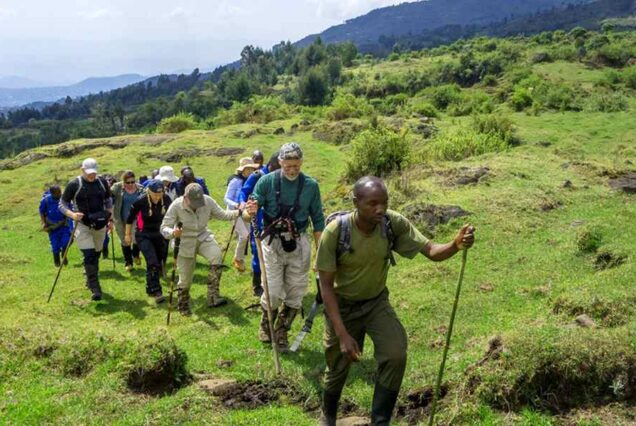 Luxury Safari Guide to Mountain Karisimbi, Exclusive Adventure to Mount Karisimbi, Private Safari Adventure to Mount Karisimbi Rwanda, Expert Guided Mount Karisimbi Volcano Hike, Luxury Expedition to the Elevation of Mount Karisimbi. Luxury 8 Days Tanzania Safari Exclusive Tour, Best Private Tanzania Southern Circuit Safari, Exclusive 8 day safari Tanzania, Tanzania 8-day safari private tour, Private 8 days Tanzania safari itinerary. Exclusive 7 Day Western Tanzania Safari, Private Tanzania 7 Day Safari, Off-the-beaten-path safari in Western Tanzania, Luxury Katavi National Park Tours, Private Mahale mountains chimp trekking tours