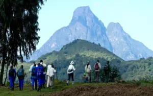 Luxury Safari Guide to Mountain Karisimbi, Exclusive Adventure to Mount Karisimbi, Private Safari Adventure to Mount Karisimbi Rwanda, Expert Guided Mount Karisimbi Volcano Hike, Luxury Expedition to the Elevation of Mount Karisimbi