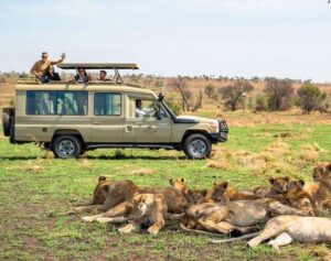 3 days samburu safari package and itinerary. Exclusive 7 Day Western Tanzania Safari, Private Tanzania 7 Day Safari, Off-the-beaten-path safari in Western Tanzania, Luxury Katavi National Park Tours, Private Mahale mountains chimp trekking tours. Private Tanzania 7 day itinerary, Luxury Tanzania 7 day tour, Exclusive 7 day Tanzania tours, Luxury Saadani National Park tour,  Private Mkomazi safari tours