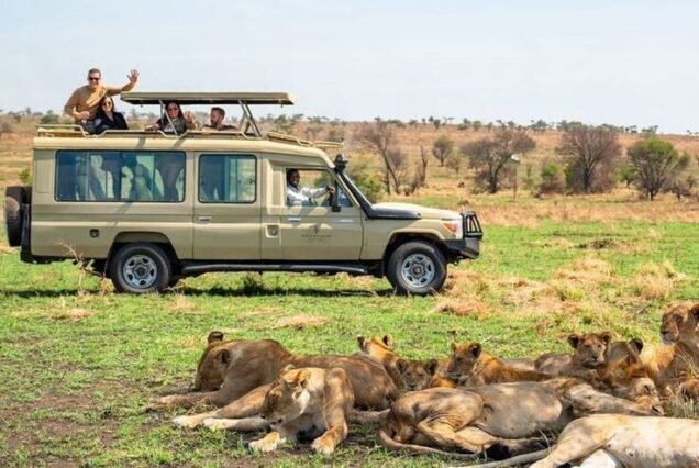 3 days samburu safari package and itinerary. Exclusive 7 Day Western Tanzania Safari, Private Tanzania 7 Day Safari, Off-the-beaten-path safari in Western Tanzania, Luxury Katavi National Park Tours, Private Mahale mountains chimp trekking tours. Private Tanzania 7 day itinerary, Luxury Tanzania 7 day tour, Exclusive 7 day Tanzania tours, Luxury Saadani National Park tour,  Private Mkomazi safari tours. 6 Days Tanzania Safari Private Tour, Luxury 6 days safari Tanzania, Exclusive 6 days Tanzania camping safari, Private 6 days Tanzania Northern circuit safari, luxury 5 nights 6 days Tanzania Northern circuit safari