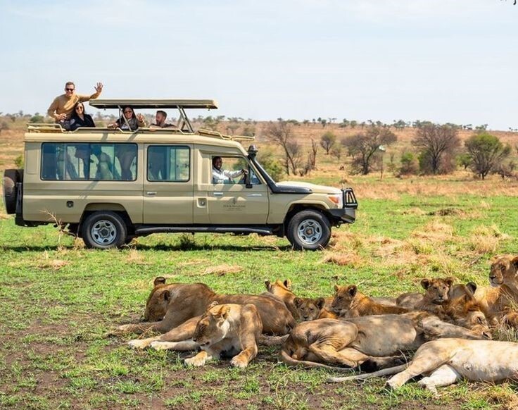 3 days samburu safari package and itinerary. Exclusive 7 Day Western Tanzania Safari, Private Tanzania 7 Day Safari, Off-the-beaten-path safari in Western Tanzania, Luxury Katavi National Park Tours, Private Mahale mountains chimp trekking tours. Private Tanzania 7 day itinerary, Luxury Tanzania 7 day tour, Exclusive 7 day Tanzania tours, Luxury Saadani National Park tour,  Private Mkomazi safari tours. 6 Days Tanzania Safari Private Tour, Luxury 6 days safari Tanzania, Exclusive 6 days Tanzania camping safari, Private 6 days Tanzania Northern circuit safari, luxury 5 nights 6 days Tanzania Northern circuit safari