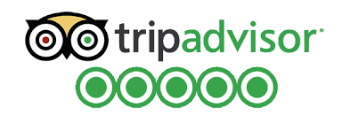 Naicef TripAdvisor Logo