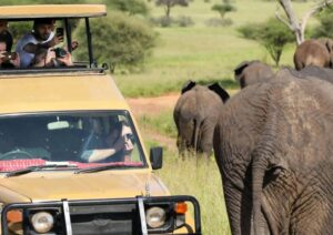 2 days Amboseli national park safari packages, 2 days Amboseli safari, Amboseli safari, Amboseli itinerary, Amboseli tours. 5 Days Tanzania Safari Luxury Tour, Private 4 Nights 5 Days Tanzania Northern Circuit Safari, Exclusive 5 Day African Safari Tanzania, Private 5 Days safari in Tanzania, Exclusive Olduvai Gorge tours