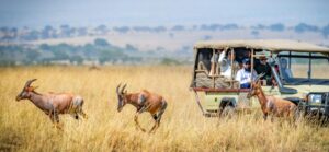 3-Day Luxury Masai Mara Photography Safari, Personalized Masai Mara photo safari, Exclusive Masai Mara photography tour, Luxury Masai Mara photo tour, exclusive Masai Mara 3 days package