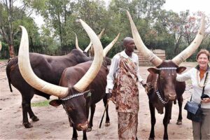 Scenic Escape to Nyanza Town Rwanda, Immersive Journey in Nyanza District Rwanda, Luxury Visit to Nyanza Palace Rwanda, Fascinating history of Nyanza Rwanda,Exclusive Royal Tour of Kings Palace Nyanza Rwanda. 8 days Exclusive Rwanda Safari Tours, 8 days Luxury Kigali City Tour, Private Rwanda Safari Gorilla trekking, Personalized Rwanda Nyungwe Canopy Walk, Immersive Rwanda Tours