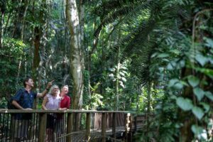 Breathtaking Nyungwe Waterfalls Experience, Exclusive Tour to Nyungwe Waterfall Hike, Private Guided Waterfall Adventure, Luxury Exploration of Waterfalls in Nyungwe National Park, Serene Nyungwe Falls Nature Escape