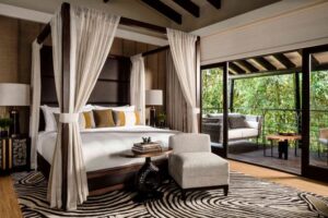 Breathtaking Nyungwe Waterfalls Experience, Exclusive Tour to Nyungwe Waterfall Hike, Private Guided Waterfall Adventure, Luxury Exploration of Waterfalls in Nyungwe National Park, Serene Nyungwe Falls Nature Escape