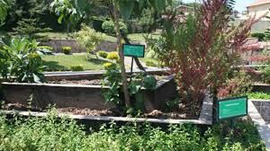 Luxury Visit to the Presidential Museum, Convenient Guide to Presidential Museum Location, Exclusive Tour to Presidential Palace Rwanda, Immersive Visit to Presidential Palace Rwanda, Elegant Exploration of Presidential Palace Kigali