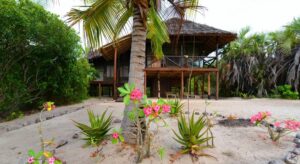 Saadani National Park Tanzania, Saadani National Park animals, Where is Saadani National Park located, Saadani National Park beach, Hotels in Saadani National Park