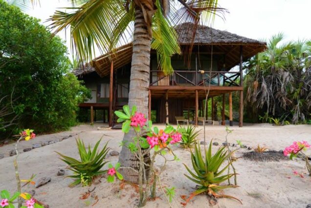 Saadani National Park Tanzania, Saadani National Park animals, Where is Saadani National Park located, Saadani National Park beach, Hotels in Saadani National Park. Private Tanzania 7 day itinerary, Luxury Tanzania 7 day tour, Exclusive 7 day Tanzania tours, Luxury Saadani National Park tour,  Private Mkomazi safari tours