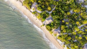 Saadani National Park Tanzania, Saadani National Park animals, Where is Saadani National Park located, Saadani National Park beach, Hotels in Saadani National Park