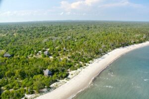 Saadani National Park Tanzania, Saadani National Park animals,, Where is Saadani National Park located, Saadani National Park beach, Hotels in Saadani National Park