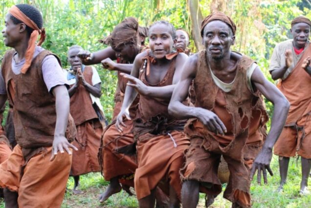 Semuliki National Park, Semuliki National Park Hot Springs, Where is Semuliki National Park located, Semuliki National Park accommodation, Attractions in Semuliki National Park. Exclusive 8 Days Uganda Safari, Private 8 Days Uganda adventure safari, Exclusive Uganda itinerary tour, Luxury Uganda wildlife safari, Private Gorilla trekking safari Uganda