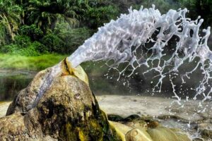 Semuliki National Park, Semuliki National Park Hot Springs, Where is Semuliki National Park located, Semuliki National Park accommodation, Attractions in Semuliki National Park