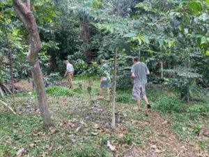 Ssese islands Uganda, Best island vacations, Ssese Islands hotels, Ssese Islands, Lake Victoria  Uganda, Best island getaways