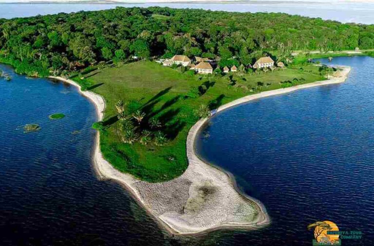 Ssese islands Uganda, Best island vacations, Ssese Islands hotels, Ssese Islands, Lake Victoria  Uganda, Best island getaways