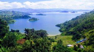 Luxury Nature Escape to Rugezi Wetlands, Exclusive Exploration of Rugezi Wetlands in Rwanda, Private Guided Experience of Rugezi Wetlands in Kigali, Inspiring Conservation Journey through Rugezi Wetlands Restoration Rwanda, Detailed Travel Insight into Rugezi Wetlands Location