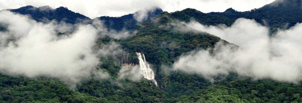Udzungwa Mountains National Park Tanzania, Udzungwa Mountains National Park, Udzungwa Mountains Tanzania, Udzungwa Mountains National Park History, Udzungwa Mountains National Park hotels. Private 6 Day Safari Tanzania To Dar/Nyerere/& Udzungwa, Exclusive 6 Days Safari Tanzania, Luxurious 6 Days Tanzania safari itinerary, 6 Days Tanzania lodge safari luxury tour, private 6 day Tanzania safari. Luxury 8 Days Tanzania Safari Exclusive Tour, Best Private Tanzania Southern Circuit Safari, Exclusive 8 day safari Tanzania, Tanzania 8-day safari private tour, Private 8 days Tanzania safari itinerary