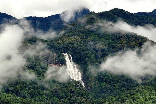 Udzungwa Mountains National Park Tanzania, Udzungwa Mountains National Park, Udzungwa Mountains Tanzania, Udzungwa Mountains National Park History, Udzungwa Mountains National Park hotels. Private 6 Day Safari Tanzania To Dar/Nyerere/& Udzungwa, Exclusive 6 Days Safari Tanzania, Luxurious 6 Days Tanzania safari itinerary, 6 Days Tanzania lodge safari luxury tour, private 6 day Tanzania safari. Luxury 8 Days Tanzania Safari Exclusive Tour, Best Private Tanzania Southern Circuit Safari, Exclusive 8 day safari Tanzania, Tanzania 8-day safari private tour, Private 8 days Tanzania safari itinerary