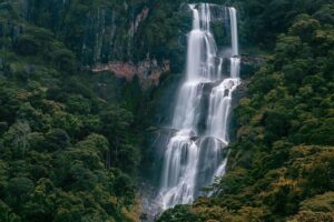 Udzungwa Mountains National Park Tanzania, Udzungwa Mountains National Park, Udzungwa Mountains Tanzania, Udzungwa Mountains National Park History, Udzungwa Mountains National Park hotels. Private 6 Day Safari Tanzania To Dar/Nyerere/& Udzungwa, Exclusive 6 Days Safari Tanzania, Luxurious 6 Days Tanzania safari itinerary, 6 Days Tanzania lodge safari luxury tour, private 6 day Tanzania safari. Luxury 8 Days Tanzania Safari Exclusive Tour, Best Private Tanzania Southern Circuit Safari, Exclusive 8 day safari Tanzania, Tanzania 8-day safari private tour, Private 8 days Tanzania safari itinerary