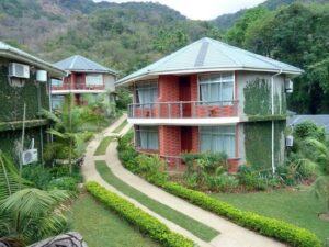Best Guide To Udzungwa Mountains National Park Tanzania ~ Naicef; +254799922277 • Naicef Udzungwa Mountains National Park Tanzania, Udzungwa Mountains National Park, Udzungwa Mountains Tanzania, Udzungwa Mountains National Park History, Udzungwa Mountains National Park hotels