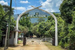 Best Guide To Udzungwa Mountains National Park Tanzania ~ Naicef; +254799922277 • Naicef Udzungwa Mountains National Park Tanzania, Udzungwa Mountains National Park, Udzungwa Mountains Tanzania, Udzungwa Mountains National Park History, Udzungwa Mountains National Park hotels