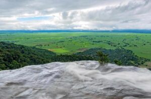 Best Guide To Udzungwa Mountains National Park Tanzania ~ Naicef; +254799922277 • Naicef Udzungwa Mountains National Park Tanzania, Udzungwa Mountains National Park, Udzungwa Mountains Tanzania, Udzungwa Mountains National Park History, Udzungwa Mountains National Park hotels