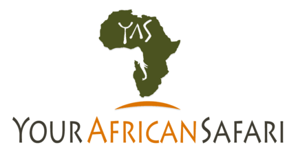 naicef-your-african-safari