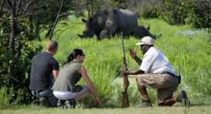 Luxury 4 Days Murchison Falls Safari, Private Murchison Falls National Park safari, Exclusive Safari in Uganda Murchison Falls, Luxury Uganda safari tour, Private Safari Murchison Falls National Park