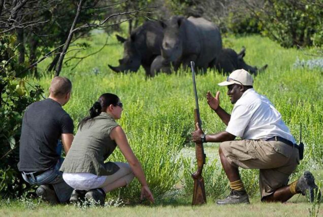 Luxury 4 Days Murchison Falls Safari, Private Murchison Falls National Park safari, Exclusive Safari in Uganda Murchison Falls, Luxury Uganda safari tour, Private Safari Murchison Falls National Park