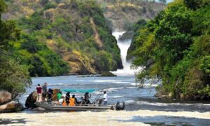 Luxury 4 Days Murchison Falls Safari, Private Murchison Falls National Park safari, Exclusive Safari in Uganda Murchison Falls, Luxury Uganda safari tour, Private Safari Murchison Falls National Park