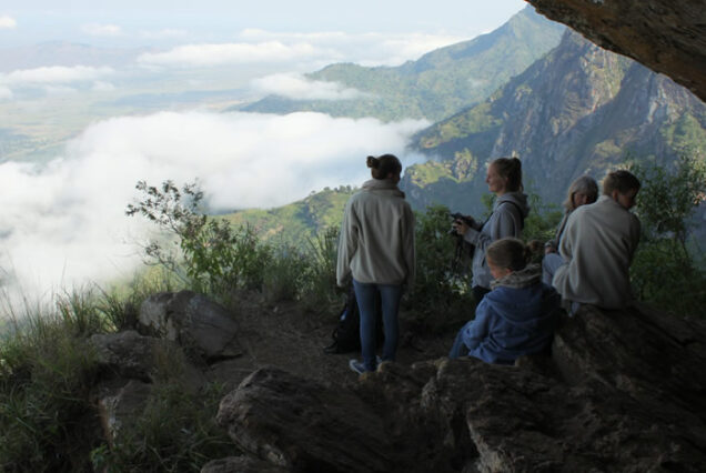 Private Tanzania 7 day itinerary, Luxury Tanzania 7 day tour, Exclusive 7 day Tanzania tours, Luxury Saadani National Park tour,  Private Mkomazi safari tours. 6 Days Tanzania Safari Private Tour, Luxury 6 days safari Tanzania, Exclusive 6 days Tanzania camping safari, Private 6 days Tanzania Northern circuit safari, luxury 5 nights 6 days Tanzania Northern circuit safari